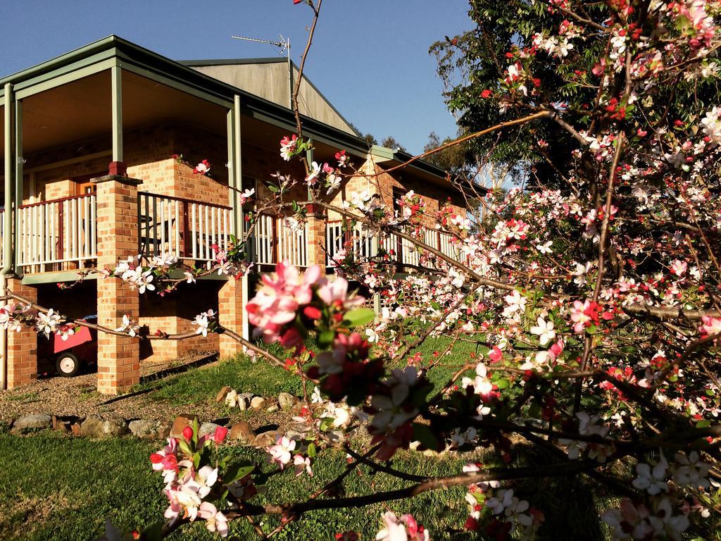 Bryn Glas Farm Stay Моруя Экстерьер фото