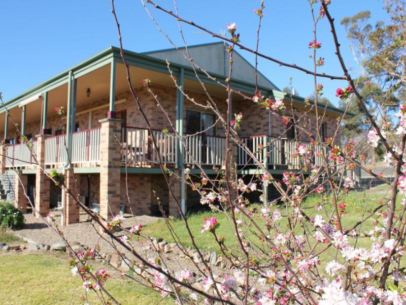 Bryn Glas Farm Stay Моруя Экстерьер фото